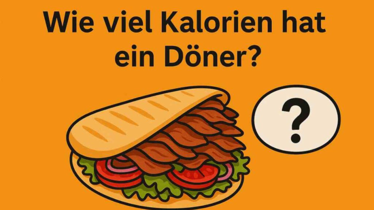 wie viel kcal hat ein döner