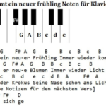 rolf zuckowski immer wieder kommt ein neuer frühling songtext