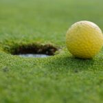 världsranking golf